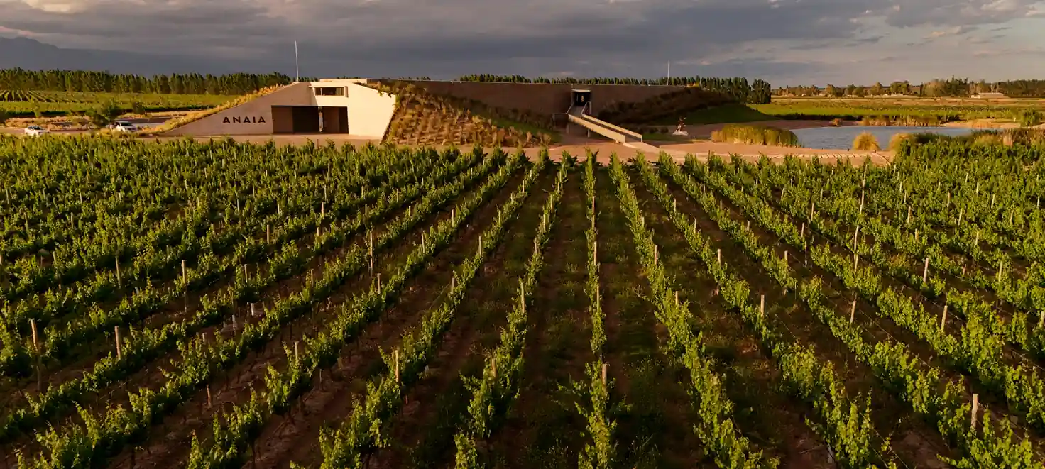 TERROIR_w